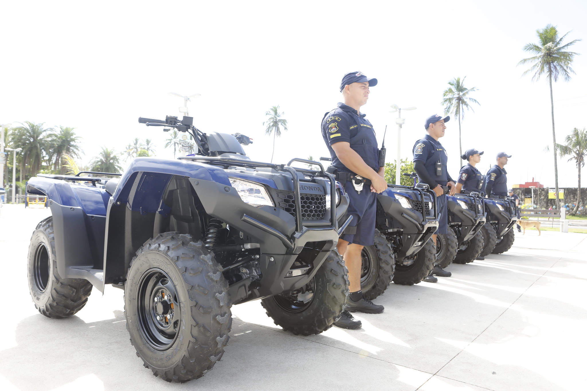Guarda Civil Municipal recebe o reforço de quatro quadriciclos e 20 bicicletas