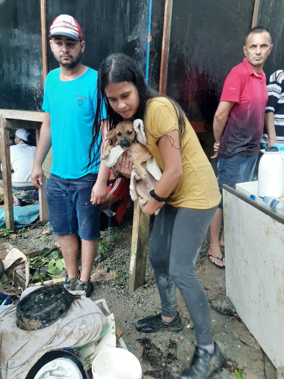 Animais são resgatados com vida em Guarujá