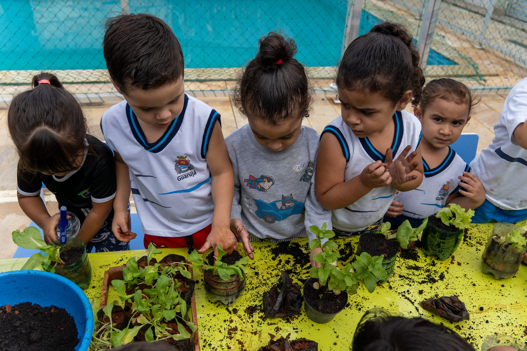 Creche de Guarujá transforma crianças em “jardineiros” e ensina técnicas de plantio