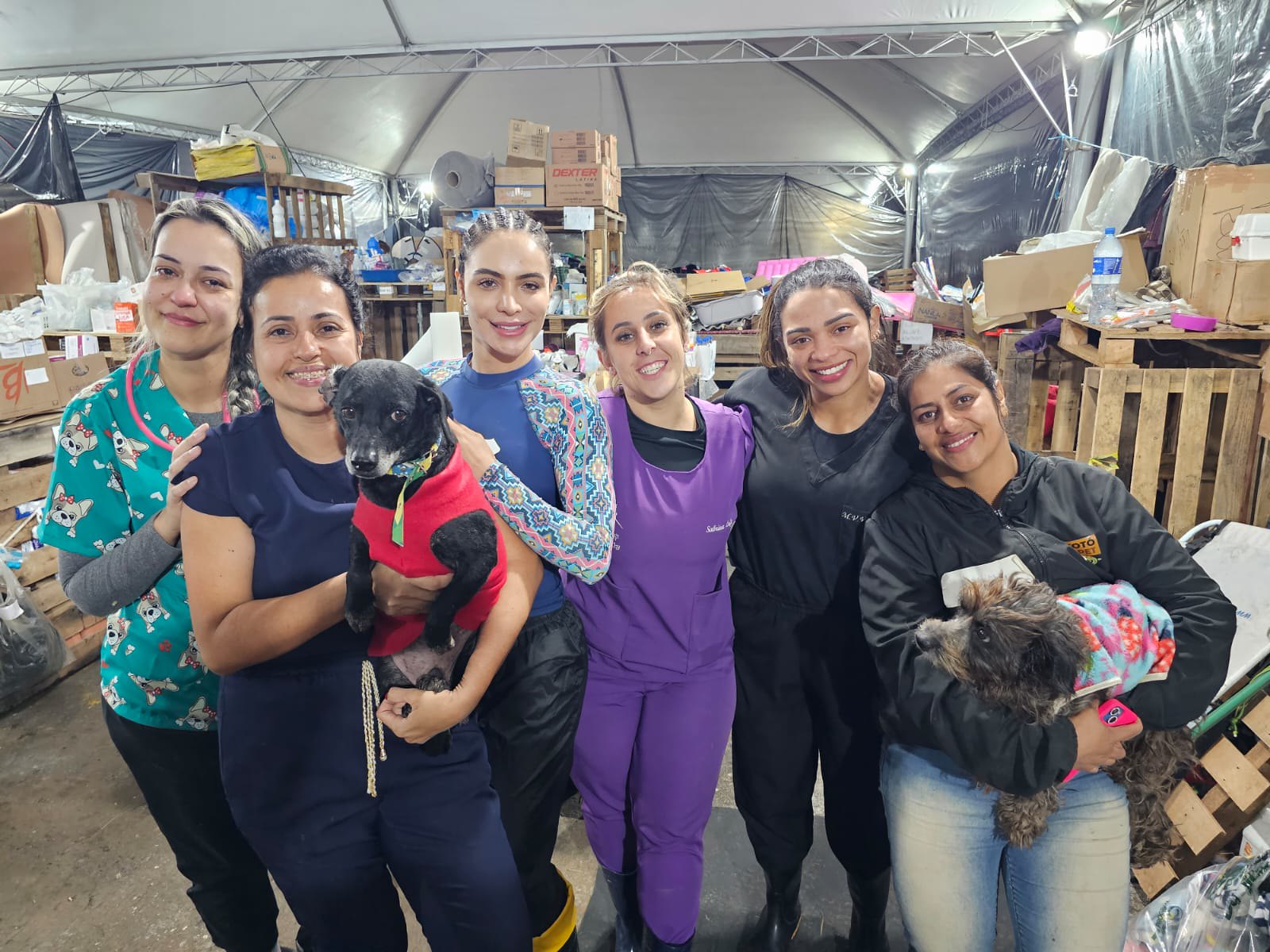 Voluntários de Guarujá viajam até Canoas para auxiliar nos cuidados com animais
